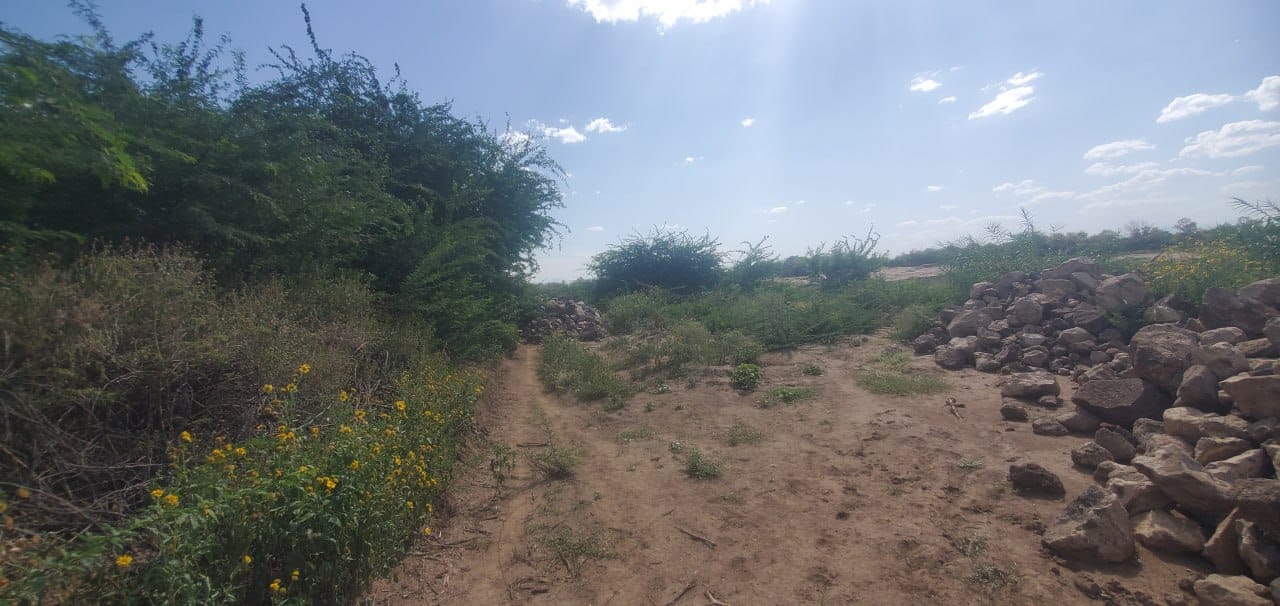 Road construction project site